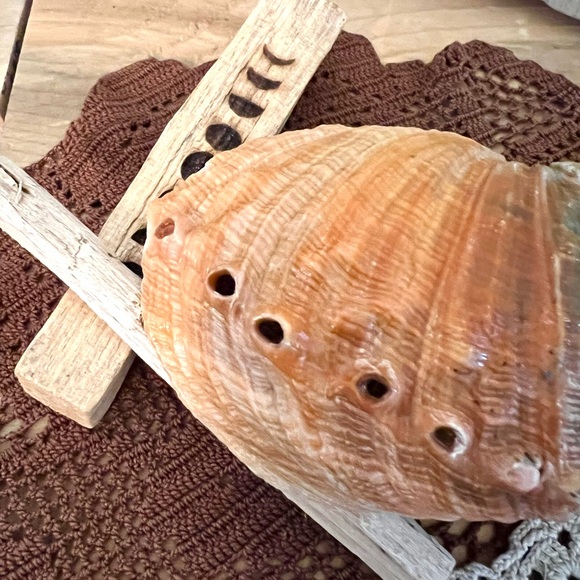 STUNNING PEARLIZED ABALONE PAUPAU SEASHELL Palo Santo SET - Picture 2 of 3